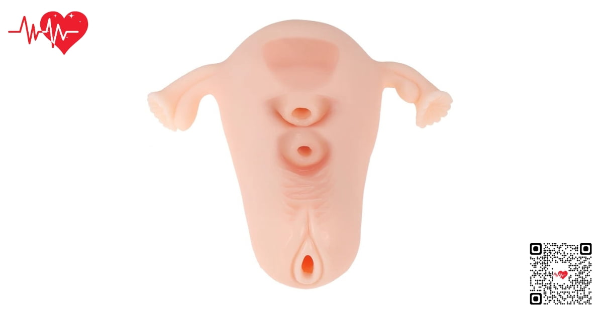 âm đạo ManMiao Real Uterus